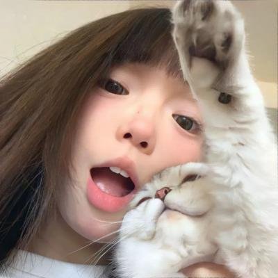 南岸灯火纪